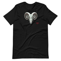 Aries T-Shirt